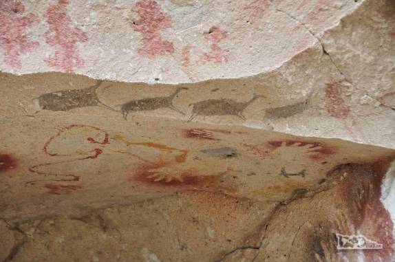 Muitas pinturas nos tetos da Cueva de Las Manos, no sul da patagônia, na Argentina